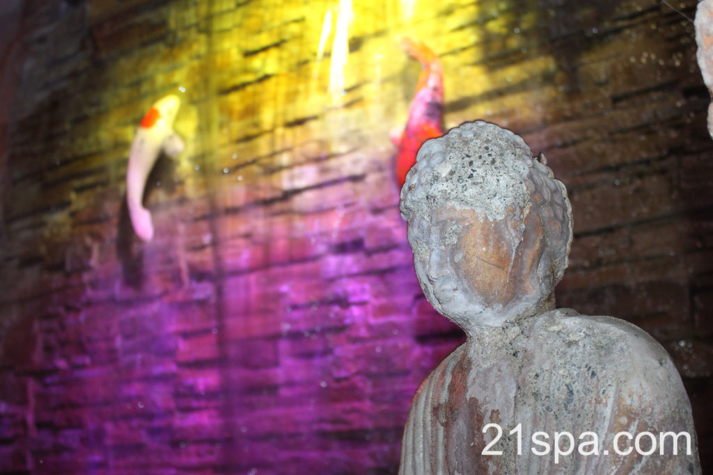 Sea Mountain Nude Lifestyles Spa Resort 760-251-4744